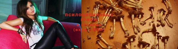 эйфоретик Арсеньев