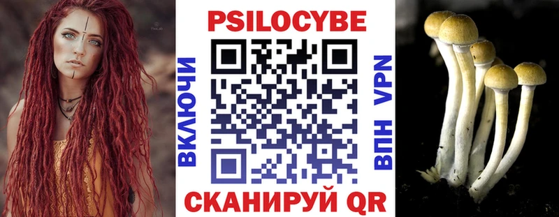 где можно купить наркотик Малоярославец мега как войти Псилоцибиновые грибы прущие грибы